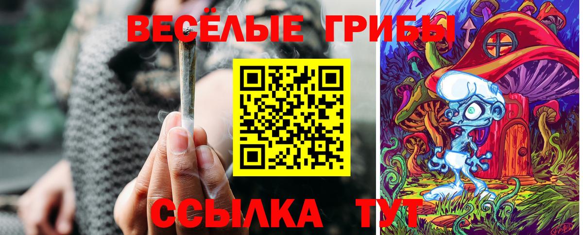 Псилоцибиновые грибы MAGIC MUSHROOMS  Вход с VPN  Югорск 